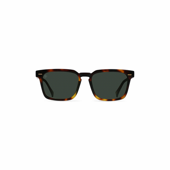 Adin Sunglasses